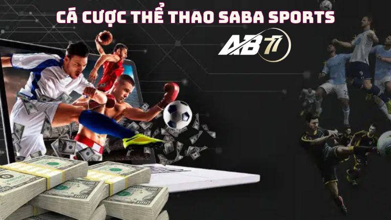 Sapa sports AB77